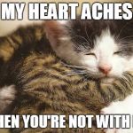 Hug Cats | MY HEART ACHES; WHEN YOU'RE NOT WITH ME | image tagged in memes,cats | made w/ Imgflip meme maker