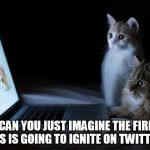 cats googling | FLUFFY, CAN YOU JUST IMAGINE THE FIRESTORM THIS IS GOING TO IGNITE ON TWITTER? | image tagged in cats googling | made w/ Imgflip meme maker