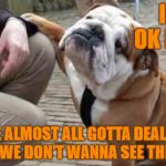 It's The Invasion Of The In-Laws! | IT'S OK DAWG; WE'VE ALMOST ALL GOTTA DEAL WITH FAMILY WE DON'T WANNA SEE THIS WEEK | image tagged in there there dog,my templates challenge,thanksgiving,dealing with family,break out the christmas movies | made w/ Imgflip meme maker