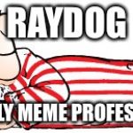The only mattress professionals  | RAYDOG; THE ONLY MEME PROFESSIONAL | image tagged in the only mattress professionals | made w/ Imgflip meme maker