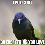 Angry Bird | I WILL SHIT; ON EVERYTHING YOU LOVE | image tagged in angry bird | made w/ Imgflip meme maker