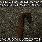 Dog poop candy cane | WHEN YOUR HANGING CANDY CANES ON THE CHRISTMAS TREE; AND YOUR DOG DECIDES TO HELP | image tagged in dog poop candy cane | made w/ Imgflip meme maker