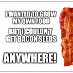 This Is Bacon | I WANTED TO GROW MY OWN FOOD; BUT I COULDN’T GET BACON SEEDS; ANYWHERE! | image tagged in this is bacon | made w/ Imgflip meme maker