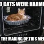 Cat in oven | NO CATS WERE HARMED; IN THE MAKING OF THIS MEME | image tagged in cat in oven | made w/ Imgflip meme maker