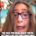 Danyerz Lanyerbs | THE FACE YOU MAKE WHEN YOU'RE GETTING A PET CAT FOR CHRISTMAS | image tagged in danyerz lanyerbs | made w/ Imgflip meme maker