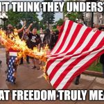 antitrump_protesters | I DON'T THINK THEY UNDERSTAND; WHAT FREEDOM TRULY MEANS | image tagged in antitrump_protesters | made w/ Imgflip meme maker