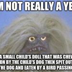 Annoyed and confused Yeti | I'M NOT REALLY A YETI; I'M A SMALL CHILD'S DOLL THAT WAS CHEWED ON BY THE CHILD'S DOG THEN SPIT OUT BY THE DOG AND EATEN BY A BIRD PASSING BY | image tagged in annoyed and confused yeti | made w/ Imgflip meme maker