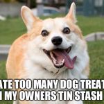 Those were not dog treats... | I ATE TOO MANY DOG TREATS FROM MY OWNERS TIN STASH BOX... | image tagged in crazy corgi | made w/ Imgflip meme maker