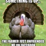 Saw this on FB and chuckled | SOMETHING IS UP... THE FARMER JUST UNFRIENDED ME ON FACEBOOK | image tagged in memes,turkey,facebook | made w/ Imgflip meme maker