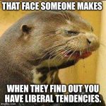 Disgusted Otter | THAT FACE SOMEONE MAKES; WHEN THEY FIND OUT YOU HAVE LIBERAL TENDENCIES. | image tagged in disgusted otter | made w/ Imgflip meme maker