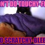 Evil cat | I DON'T DO TOUCHY-FEELY; I DO SCRATCHY-BLEEDY | image tagged in making plans,memes | made w/ Imgflip meme maker