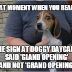 Scared Beagle | THAT MOMENT WHEN YOU REALIZE; THE SIGN AT DOGGY DAYCARE SAID 'GLAND OPENING' AND NOT 'GRAND OPENING' | image tagged in scared beagle | made w/ Imgflip meme maker