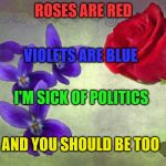 Roses are many colors other than red, violets are fricken violet | ROSES ARE RED; VIOLETS ARE BLUE; I'M SICK OF POLITICS; AND YOU SHOULD BE TOO | image tagged in roses are many colors other than red violets are fricken violet | made w/ Imgflip meme maker