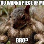 Jacked Squirell  | YOU WANNA PIECE OF ME; BRO? | image tagged in jacked squirell | made w/ Imgflip meme maker