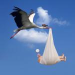 Stork, NATALISM, babies 