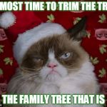 Time To Trim The Family Tree | ALMOST TIME TO TRIM THE TREE; THE FAMILY TREE THAT IS | image tagged in grumpy cat christmas,christmas,christmas tree,trim the tree,is that a clue on the tree | made w/ Imgflip meme maker