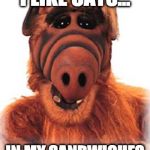 ALF | I LIKE CATS... IN MY SANDWICHES | image tagged in alf | made w/ Imgflip meme maker