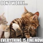 Kittens hug | DON'T WORRY.... EVERYTHING IS FINE NOW | image tagged in memes,kittens | made w/ Imgflip meme maker