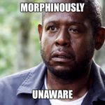 Forest Whitaker Eye | MORPHINOUSLY; UNAWARE | image tagged in forest whitaker eye | made w/ Imgflip meme maker