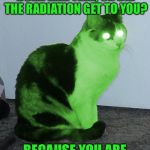 RayCat's pickup lines | HEY BABE, WERE YOU BORN LIKE THAT, OR DID THE RADIATION GET TO YOU? BECAUSE YOU ARE SIMPLY GLOWING! | image tagged in hypno raycat,memes | made w/ Imgflip meme maker