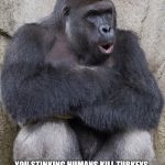 Harambe | THANKSGIVING IS MY FAVORITE HOLIDAY. YOU STINKING HUMANS KILL TURKEYS, AND MOST OF THEM ARE PRETTY COOL. ONE OF THEM THOUGH CAME NEAR A HUMAN AND DIDN'T GET SHOT, SO I WANT ANSWERS. | image tagged in harambe | made w/ Imgflip meme maker