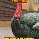 turkey | IF I'M NOT COOKED PROPERLY; YOU'LL MEET MY FRIENDS SAM AND ELLA, I GUARANTEE IT | image tagged in turkey,thanksgiving,i guarantee it,bad pun | made w/ Imgflip meme maker