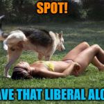 Dog Pees on Girl | SPOT! LEAVE THAT LIBERAL ALONE | image tagged in dog pees on girl | made w/ Imgflip meme maker