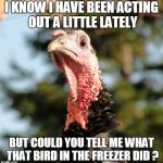 turkey head | I KNOW I HAVE BEEN ACTING OUT A LITTLE LATELY; BUT COULD YOU TELL ME WHAT THAT BIRD IN THE FREEZER DID ? | image tagged in turkey head | made w/ Imgflip meme maker