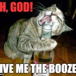 cat opening liquor bottle with mouth | OH, GOD! GIVE ME THE BOOZE!! | image tagged in cat opening liquor bottle with mouth | made w/ Imgflip meme maker