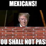You shall not pass | MEXICANS! YOU SHALL NOT PASS | image tagged in you shall not pass | made w/ Imgflip meme maker