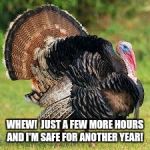 Turkey On The Run | WHEW!  JUST A FEW MORE HOURS AND I'M SAFE FOR ANOTHER YEAR! | image tagged in turkey on the run | made w/ Imgflip meme maker