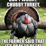 Fat Turkey | DON'T WORRY, CHUBBY TURKEY, THE FARMER SAID THAT IT'S OKAY TO BE FAT | image tagged in fat turkey | made w/ Imgflip meme maker