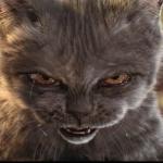 Evil-Cat meme