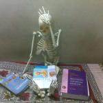 Skeleton studying