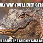 Instigator Alligator  | THE ONLY WAY YOU'LL EVER GET LAID; IS IF YOU CRAWL UP A CHICKEN'S ASS AND WAIT. | made w/ Imgflip meme maker