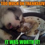Ate too much .. | ATE TOO MUCH ON THANKSGIVING; IT WAS WORTH IT! | image tagged in dog too much food,memes,funny,funny memes,thanksgiving,dog | made w/ Imgflip meme maker