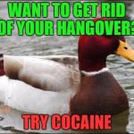Get rid of your hangover | WANT TO GET RID OF YOUR HANGOVER? TRY COCAINE | image tagged in make actual bad advice mallard,memes,funny,funny memes,hangover,cocaine | made w/ Imgflip meme maker