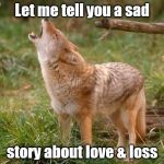 You may cry from frustration or lament from sorrow, but you know what she means when all you can do is howl, howl, howl. | Let me tell you a sad; story about love & loss | image tagged in coyote howls,love and loss,sad story | made w/ Imgflip meme maker
