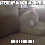 lilo the cat | YESTERDAY WAS BLACK FRIDAY; AND I FORGOT | image tagged in lilo the cat | made w/ Imgflip meme maker