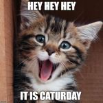 Happy cat | HEY HEY HEY; IT IS CATURDAY | image tagged in happy cat | made w/ Imgflip meme maker