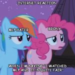 Mlp Pinkie Pie Rainbow Dash | INTERNET REACTION; BRONY; MLP HATER; WHEN I'M SAYING "I WATCHED MLP AND  IT'S QUITE FAIR" | image tagged in mlp pinkie pie rainbow dash | made w/ Imgflip meme maker