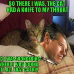 Brian Williams WAS there... Don't ask, just trying to learn how to photoshop...LOL | SO THERE I WAS, THE CAT HAD A KNIFE TO MY THROAT; AND I WAS WONDERING WHERE I WAS GONNA GET ALL THAT CATNIP | image tagged in cat brian williams  knife,memes,brian williams was there,funny,bad photoshop,never said it was good photoshop | made w/ Imgflip meme maker