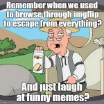 Pepperidge Farms | Remember when we used to browse through imgflip to escape from everything? And just laugh at funny memes? | image tagged in pepperidge farms | made w/ Imgflip meme maker