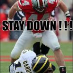 Thee Ohio State University | STAY DOWN ! ! ! | image tagged in ohio state,ttun | made w/ Imgflip meme maker