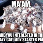 Crazy cat lady started pack (pre-order now!) | MA'AM, ARE YOU INTERESTED IN THE CRAZY CAT LADY STARTER PACK? | image tagged in kittens | made w/ Imgflip meme maker