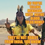 Indian Flips the bird | SO YOU'RE  TELLING MEXICANS WITH  NATIVE  BLOOD TO GO HOME? ,,, THEY'RE NOT REALLY        FROM INDIA, YOU KNOW | image tagged in indian flips the bird | made w/ Imgflip meme maker