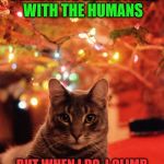 Most interesting cat in the world (Christmas) | I DON'T ALWAYS CELEBRATE CHRISTMAS WITH THE HUMANS; BUT WHEN I DO, I CLIMB ONTO THE TREE AND BREAK ALL THE GLASS ORNAMENTS | image tagged in christmas cat,memes,the most interesting cat in the world | made w/ Imgflip meme maker