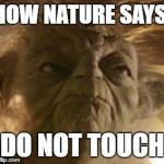 Yoda | HOW NATURE SAYS:; DO NOT TOUCH | image tagged in angry yoda | made w/ Imgflip meme maker
