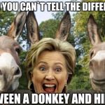 3 donkeys | WHEN YOU CAN`T TELL THE DIFFERENCE; BETWEEN A DONKEY AND HILLARY | image tagged in 3 donkeys | made w/ Imgflip meme maker