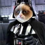 Dearth Vader grumpy cat meme